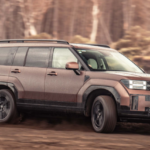 Best Cars for Long Road Trips Across New Zealand